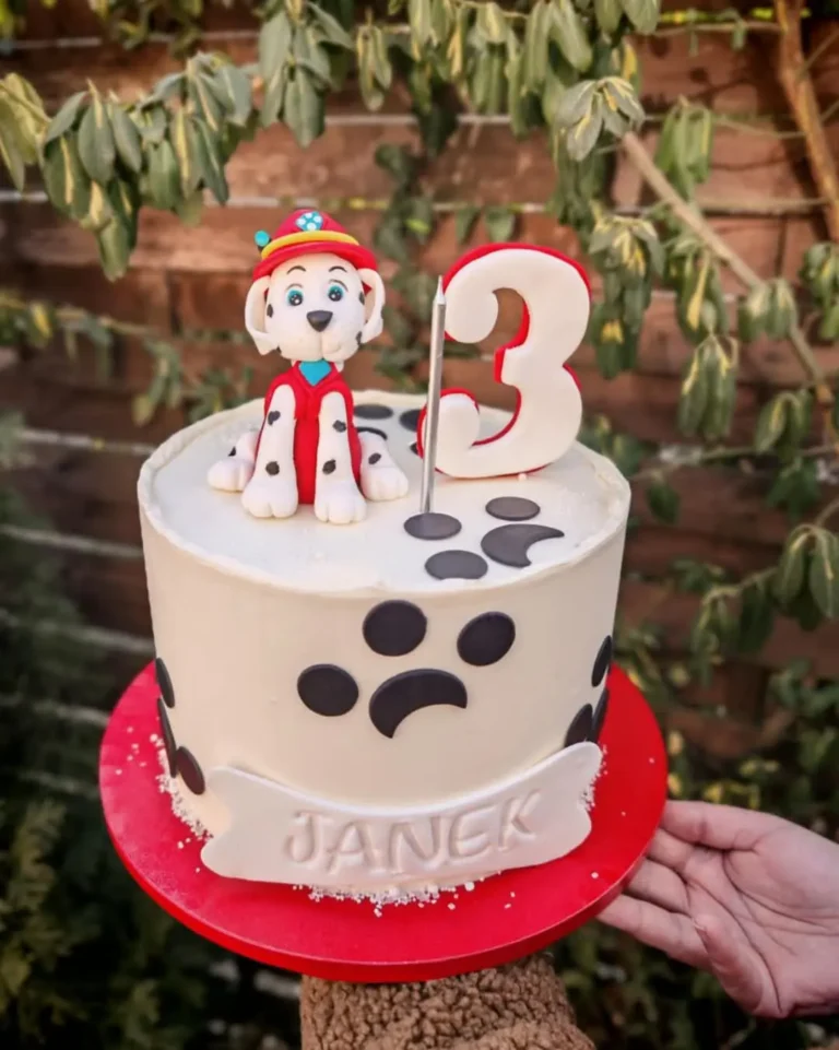 TORTY_DLA_DZIECI_PRZEWORSK_RZESZOW_021